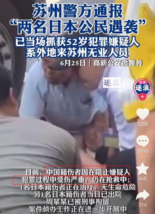 日本爆料的视频大全集,视频大全集深度解析